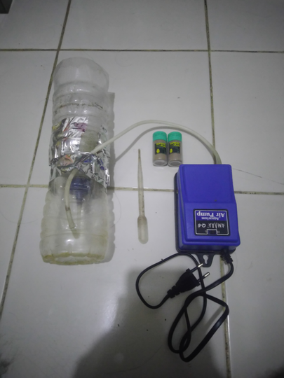 Cara dan Tips Agar Menghasilkan Banyak Anakan Ikan Cupang