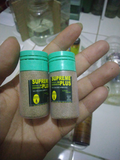 Cara dan Tips Agar Menghasilkan Banyak Anakan Ikan Cupang