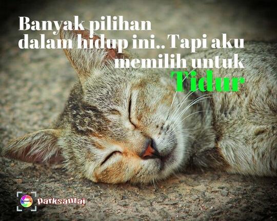 PILIH CEWEK BAIK CANTIK APA CEWEK BAIK SEKSI ??? : Sepenggal Kisah SMA