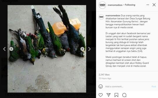 Viral, Cewek Pemburu Pamer Hasil Buruan Burung Dilindungi di Kerinci