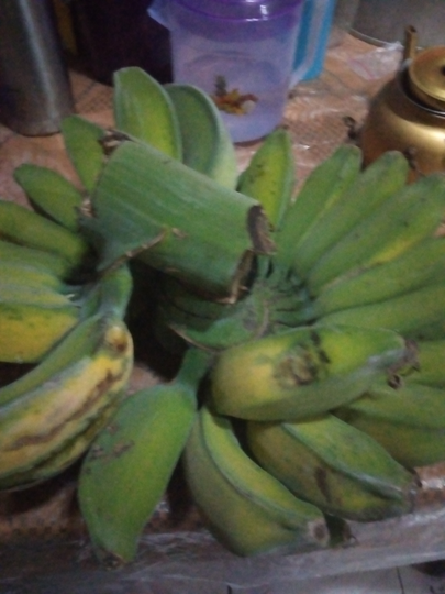 Aneka Olahan Pisang Untuk Menu Takjil, Mana Kesukaan Agan?