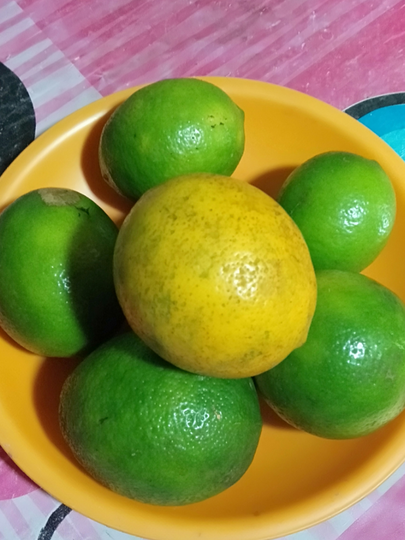 Lemon Lokal ini Tak Kalah Rasanya dengan Lemon Impor Harga Jauh lebih Murah