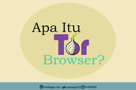 tor browser плюсы mega