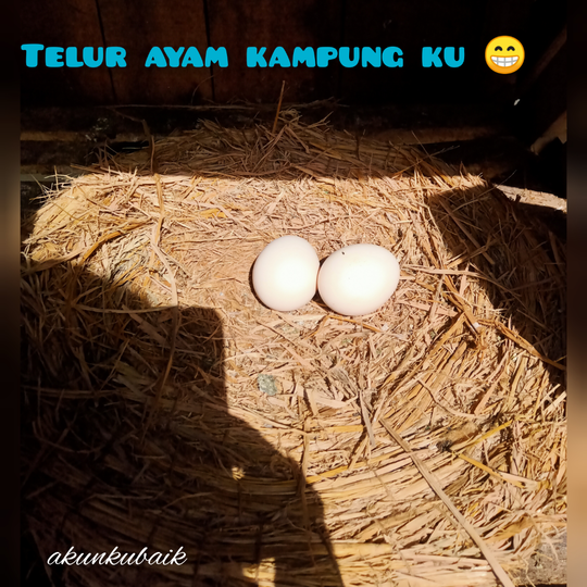 Salah Satu Pilihan Makanan Buka Puasa Agar Tidak Loyo Dan Segar Sepanjang Hari