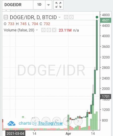 Dogecoin melesat, dengan volume transaksi terbesar