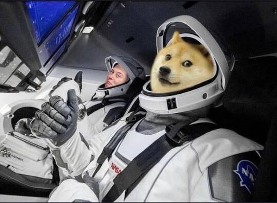 Bitcoin Ngamuk, Dogecoin to the Moon. Elon Musk Bikin Ulah Apalagi?