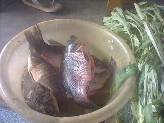Pesmol Ikan Mas, Kuliner Khas Sunda Pelengkap Menu Berbuka Puasa Yang Lezatnya Nampol
