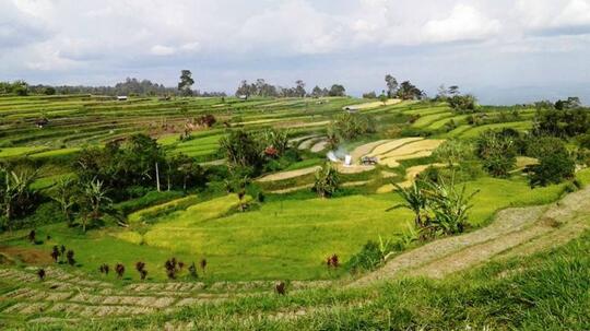 Mengenal Pariangan, Desa Terindah di Dunia dari Minangkabau!