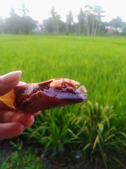 Piscok Lumer Gak Perlu Pakai Cokelat Batang, Cukup Dengan Cocolatos Bubuk, Loh!