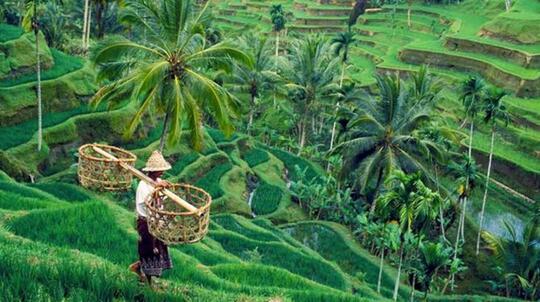 Covid Meledak Di Sana-Sini, RI Malah Buka Pintu Turis Asing