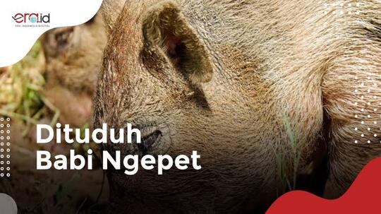 Zaman Udah Modern, Masih Aja Percaya Babi Ngepet!! Negara Lain Udah Neliti Mars