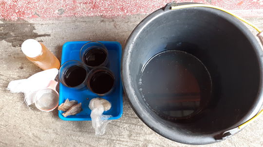 JANGAN BURU-BURU MEMBUANG AMPAS KOPI DAN TEH!! JADIKAN PUPUK BERMANFAAT BAGI TANAMAN.