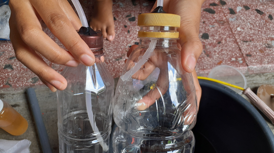 JANGAN BURU-BURU MEMBUANG AMPAS KOPI DAN TEH!! JADIKAN PUPUK BERMANFAAT BAGI TANAMAN.