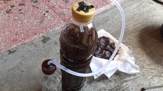 JANGAN BURU-BURU MEMBUANG AMPAS KOPI DAN TEH!! JADIKAN PUPUK BERMANFAAT BAGI TANAMAN.