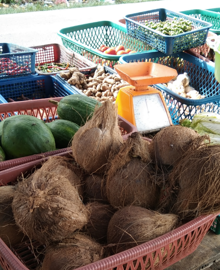 UMKM Hasil Berkebun Di Ladang, Berkah Dari Keringat Sendiri Itu Lebih Bermakna!