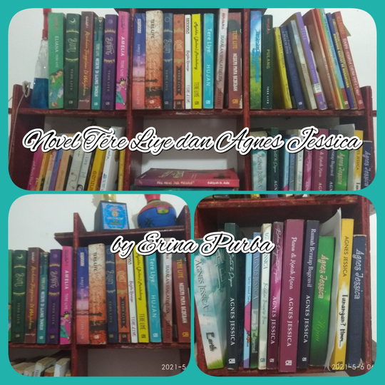 Koleksi Novel yang Paling Banyak Tere Liye dan Agnes Jessica