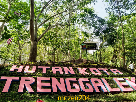 Rinduku Pada Sejuknya Hutan Kota Trenggalek