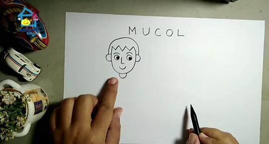 Tips Membuat Karakter Orang dengan Tehnik M U C O L, Apa Itu M u c o l ?