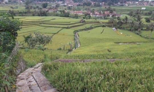 Tasikmalaya, Tempat Yang Paling Aku rindukan Untuk Berkumpul Bersama Keluarga