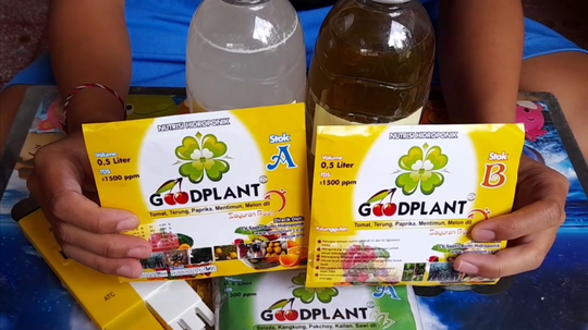 MENGENAL NUTRISI KETIKA MENANAM MENGGUNAKAN METODE HIDROPONIK