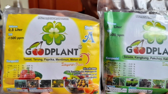 MENGENAL NUTRISI KETIKA MENANAM MENGGUNAKAN METODE HIDROPONIK