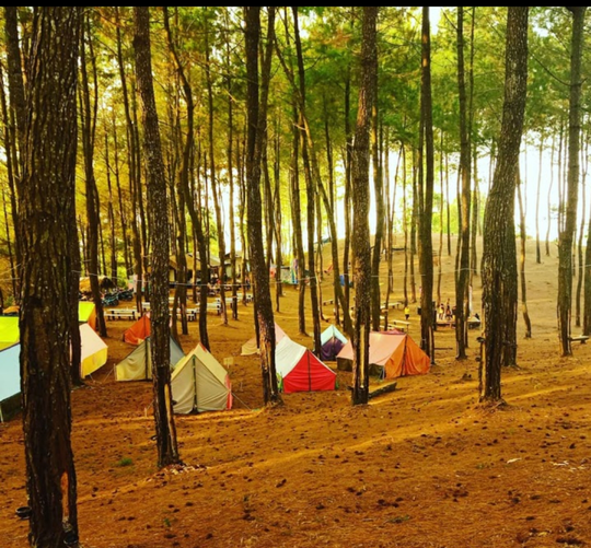 Gunung Pabeasan Malati: Spot Wisata Di Naringgul, Cianjur Selatan Yang Instagramable