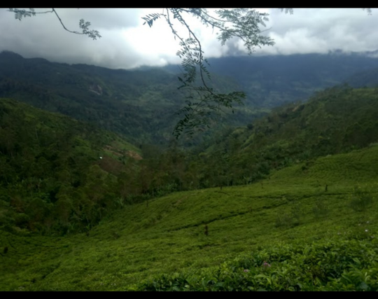 Gunung Pabeasan Malati: Spot Wisata Di Naringgul, Cianjur Selatan Yang Instagramable