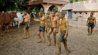 Waduh, Orang India Percaya Mandi Kotoran Sapi Bisa Menghadapi Corona, What?