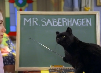 Sebagai Pembawa Sial, Inilah Beberapa Hal Menarik Dari Kucing Hitam