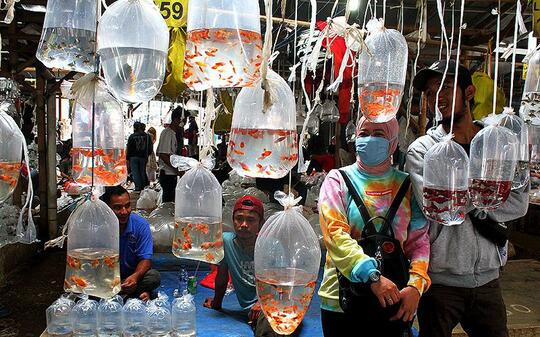 Mutusin Tidak Liburan Keluar Kota? Hiburan Ini Bisa Jadi Alternatif Buat Kamu!