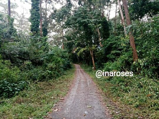 Dua Kali Lebaran Tak Pulang Kampung, Berasa Rindu Menggebu
