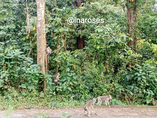 Dua Kali Lebaran Tak Pulang Kampung, Berasa Rindu Menggebu