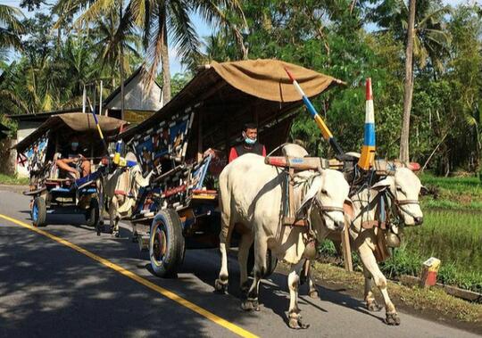 Kendaraan Para Raja Zaman Dahulu Ini Masih Eksiskah di Tempat Agan?