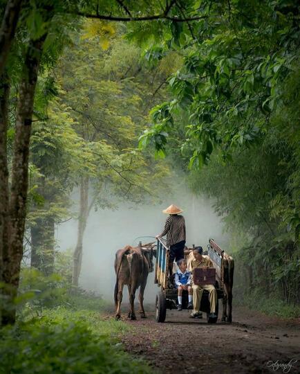 Kendaraan Para Raja Zaman Dahulu Ini Masih Eksiskah di Tempat Agan?