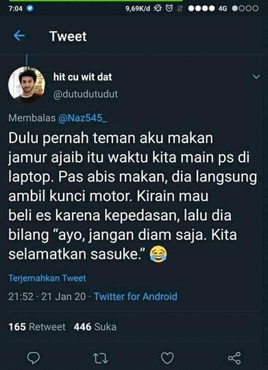 Bikin Ngakak! Efek Jamur Tahi Sapi Jadi Halusinasi.