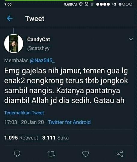 Bikin Ngakak! Efek Jamur Tahi Sapi Jadi Halusinasi.