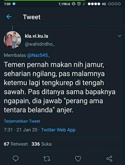 Bikin Ngakak! Efek Jamur Tahi Sapi Jadi Halusinasi.