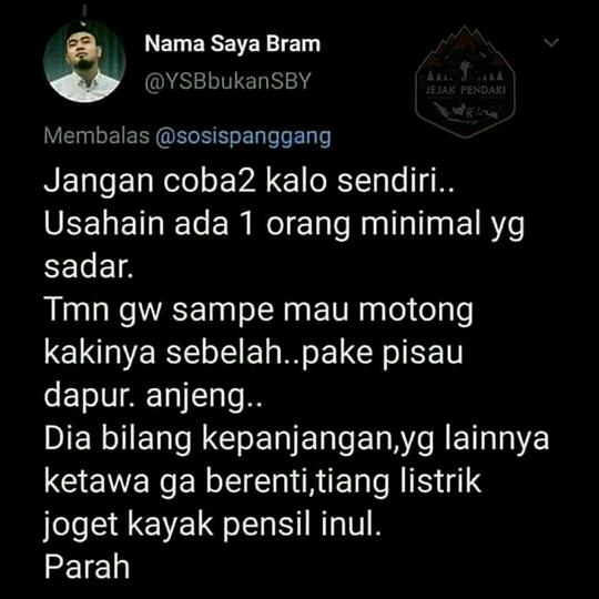 Bikin Ngakak! Efek Jamur Tahi Sapi Jadi Halusinasi.