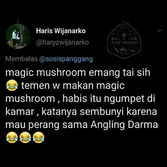 Bikin Ngakak! Efek Jamur Tahi Sapi Jadi Halusinasi.