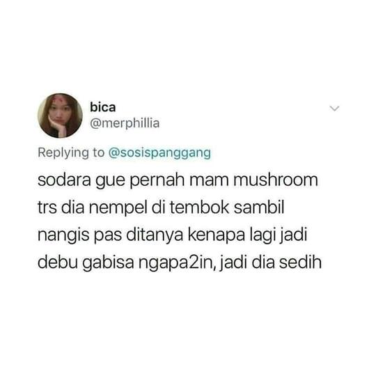 Bikin Ngakak! Efek Jamur Tahi Sapi Jadi Halusinasi.