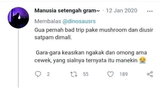 Bikin Ngakak! Efek Jamur Tahi Sapi Jadi Halusinasi.