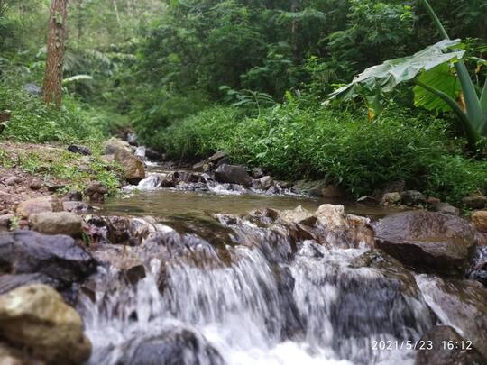 Pleseran, Tempat Plesiran Yang Adem Dan Nyaman Di Kaki Gunung Lawu