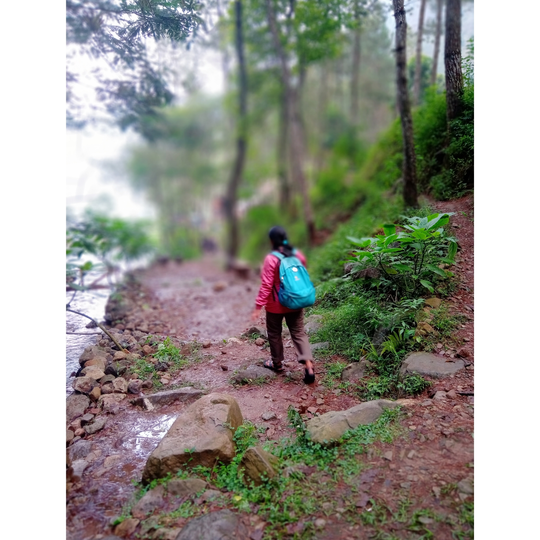 Pleseran, Tempat Plesiran Yang Adem Dan Nyaman Di Kaki Gunung Lawu