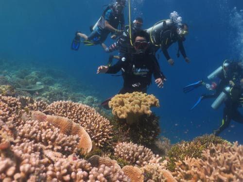 Ustadz Abdul Somad Jadi Duta Wisata Religi