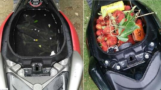 Kok Ojol Banyak Pake Motor Matic?