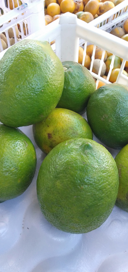 Lemon Lokal ini Tak Kalah Rasanya dengan Lemon Impor Harga Jauh lebih Murah