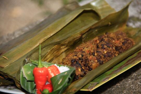 Aneka Kuliner Berbahan Serangga, Ternyata Lezat Dan Kaya Protein Loh!