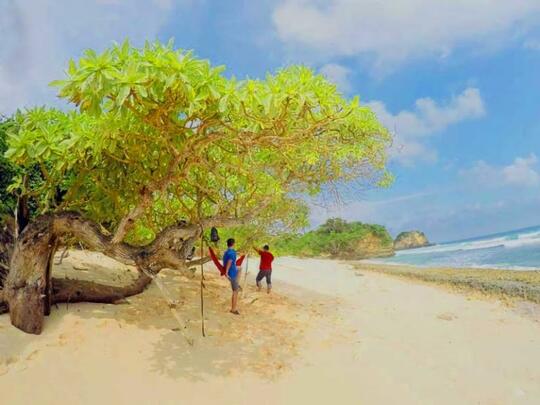 10 Tempat yang Bagus Buat Camping Bareng Pacar Check!