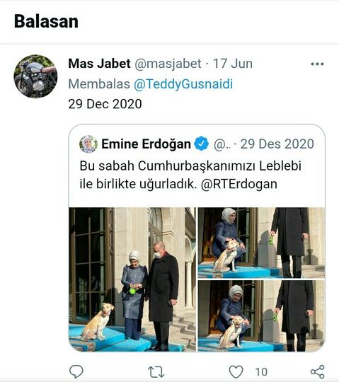Ustad Somad Disemprot: Anjing Lebih Terhormat!