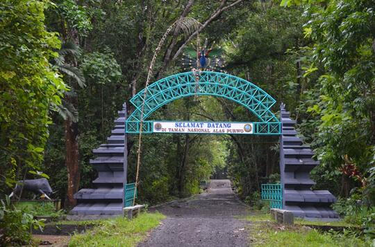 Mengembangkan Wisata Angker dan Seram di Banyuwangi Cocok Kali, Ya?